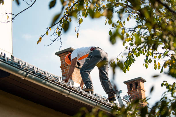 Best Storm Damage Roof Repair  in Cedar Springs, MI