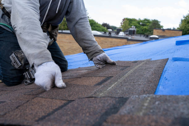 Professional Roofing Contractor in Cedar Springs, MI
