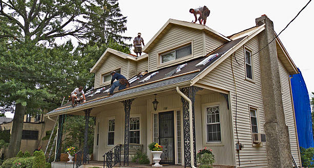 Best Flat Roof Repair Services  in Cedar Springs, MI