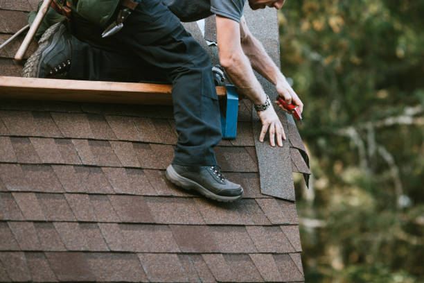 Best Roof Repair Services  in Cedar Springs, MI